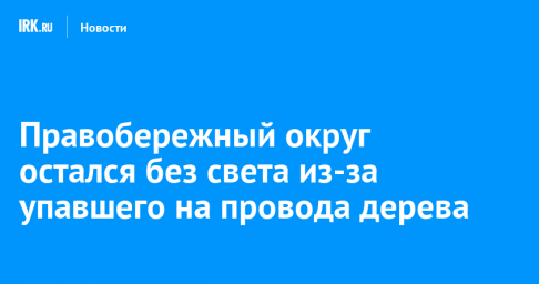 Правобережный округ остался без света из-за упавшего на провода дерева