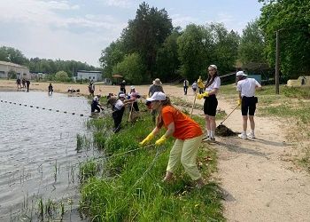 Амурчан зовут спасти озеро Гольянье