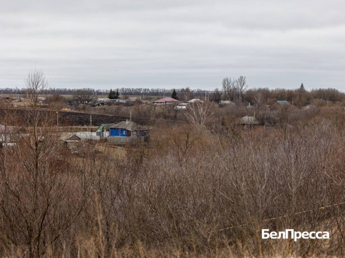 Вячеслав Гладков сообщил о 205 земельных участках, выданных ветеранам СВО Вячеслав Гладков сообщил о 205 земельных участках, выданных ветеранам СВО