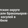 В Иркутском округе задержали браконьеров с убитой косулей в автомобиле