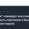 "Росатом" планирует восстановить численность персонала в Бушере в ближайшие недели...