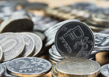 442 килограмма мелочи: названы итоги акции по сбору монет в Приамурье