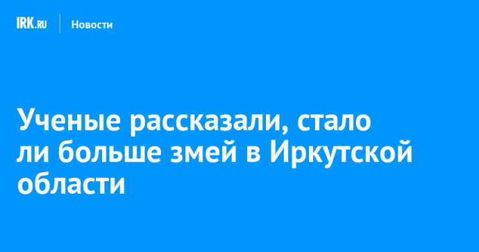 Ученые рассказали, стало ли больше змей в Иркутской области