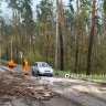 Коммунальщики убрали 9 деревьев, упавших в Белгороде из‑за сильного ветра