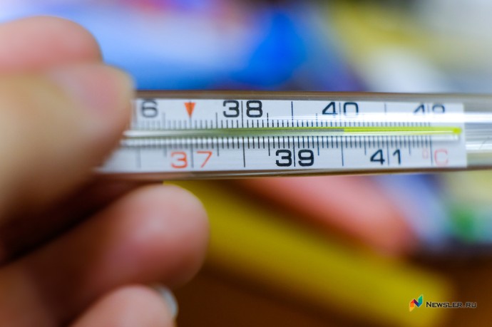 Экономист: в 2026 году россияне будут получать от 1,9 тыс. рублей за день больничного