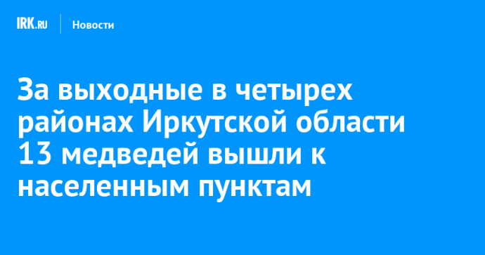 За выходные в четырех районах Иркутской области 13 медведей вышли к населенным пунктам