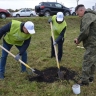 В Башкирии посадили ценный росток дуба