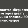 В садоводстве «Верховина» в Братске горят девять строений на площади 600 квадратных метров