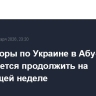 Переговоры по Украине в Абу-Даби планируется продолжить на следующей неделе