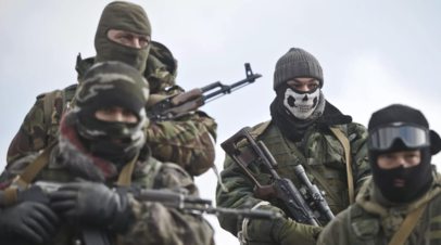 Профессор Петро: националисты на Украине способны устроить военный переворот