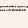 Россия призвала ОБСЕ оценить действия ВСУ в районе Запорожской АЭС