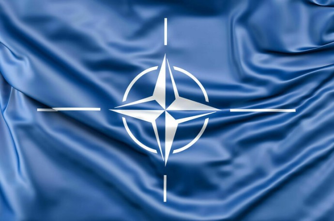 Соратник Трампа предложил пригласить Россию в НАТО
