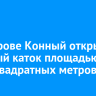 На острове Конный открылся ледовый каток площадью 4800 квадратных метров