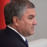 Володин рассказал о выдворении мигрантов за пределы России