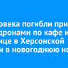 24 человека погибли при ударе дронами по кафе и гостинице в Херсонской области в новогоднюю ночь