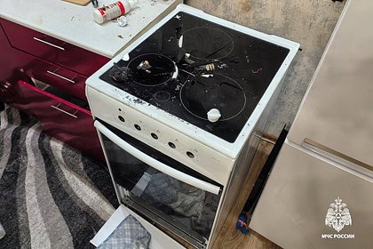 Собака устроила взрыв в Новосибирске Собака устроила взрыв в Новосибирске