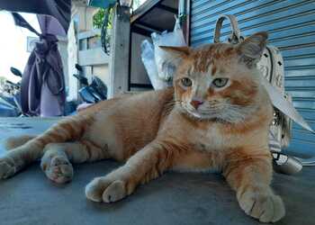 Рыбы вступят в конфликт, Раки рискуют выйти за рамки закона Рыбы вступят в конфликт, Раки рискуют выйти за рамки закона