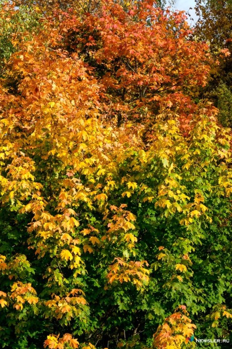 Известен прогноз погоды в Кирове на неделю 17-23 ноября Известен прогноз погоды в Кирове на неделю 17-23 ноября