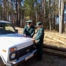 В Башкирии с начала года произошло 14 лесных пожаров