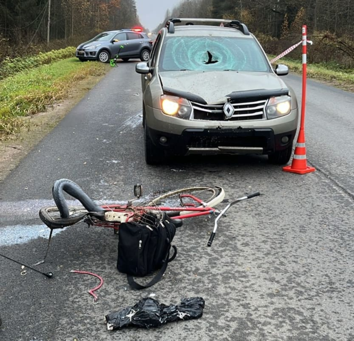 На трассе в Чудовском округе велосипедист погиб после неудачного разворота