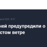 Москвичей предупредили о порывистом ветре