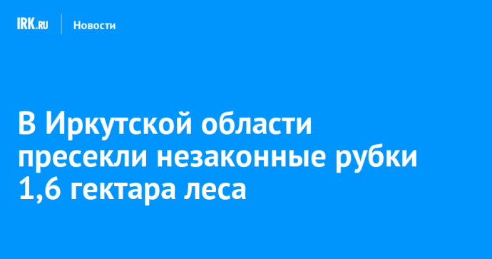 В Иркутской области пресекли незаконные рубки 1,6 гектара леса В Иркутской области пресекли незаконные рубки 1,6 гектара леса