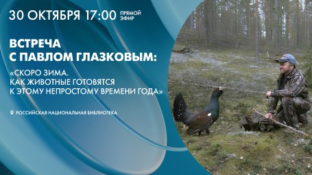 Павел Глазков расскажет о том, как животные готовятся к зиме. Смотрите онлайн-трансляцию прямо сейчас