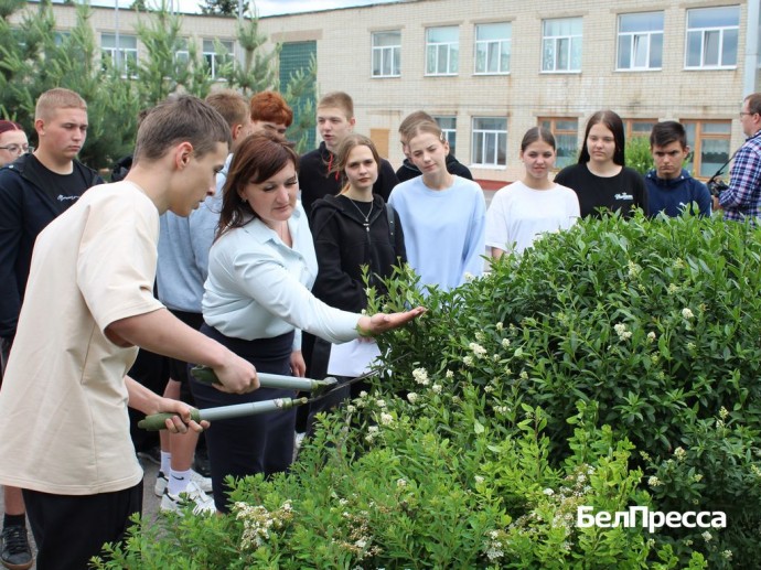 В Белгородской области уже трудоустроили более 15 тысяч подростков