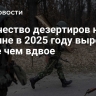 Количество дезертиров на Украине в 2025 году выросло более чем вдвое