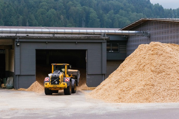 В Минприроды призвали стимулировать использование древесины в энергетике