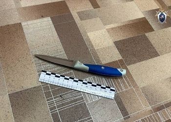 Амурчанин напал с ножом на пожилого отца