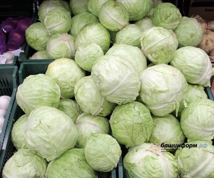 Врач из Уфы рассказала о полезном «суперфуде»для психического здоровья Врач из Уфы рассказала о полезном «суперфуде»для психического здоровья