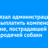 Суд обязал администрацию Зимы выплатить компенсацию женщине, пострадавшей от укуса бродячей собаки