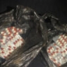 Гражданка Узбекистана приехала в Астрахань сбывать наркотики