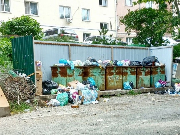Вонь и антисанитария: Приморье утопает в мусоре