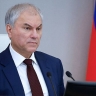 Вячеслав Володин: введенные федеральными законами нормы для борьбы с нелегальной миграцией эффективно работают