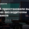В США приостановили выдачу рабочих виз водителям грузовиков