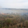 В районе Башкирии загорелась сухая трава