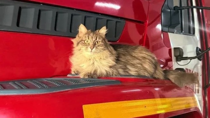 Спасатели Уфимского района Башкирии показали своего «особого» бойца