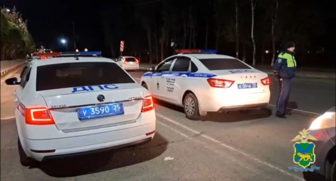 Пьяная автолюбительница попыталась сбежать от полиции в Артёме