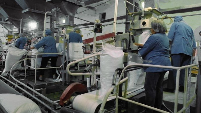 Производство сахара в Башкирии достигло 120 тысяч тонн Производство сахара в Башкирии достигло 120 тысяч тонн