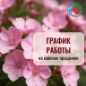 Как будут работать больницы Башкирии в майские праздники