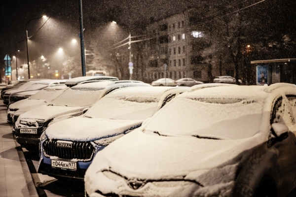 Вильфанд: временный снежный покров в Москве полностью сойдёт 18 ноября