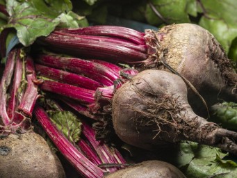 Посейте сейчас, пока земля не остыла: секрет посадки свеклы в первые заморозки — хруст обеспечен