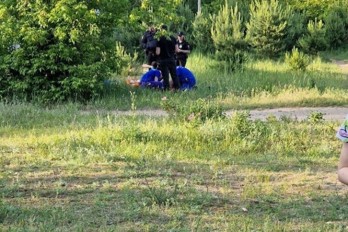 В Твери мужчина сначала бил деревья, а потом умер на глазах у ошеломленных прохожих