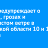 МЧС предупреждает о ливнях, грозах и шквалистом ветре в Иркутской области 10 и 11 августа