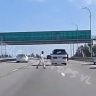 Опасное поведение мужчины на трассе в пригороде Владивостока едва не привело к аварии