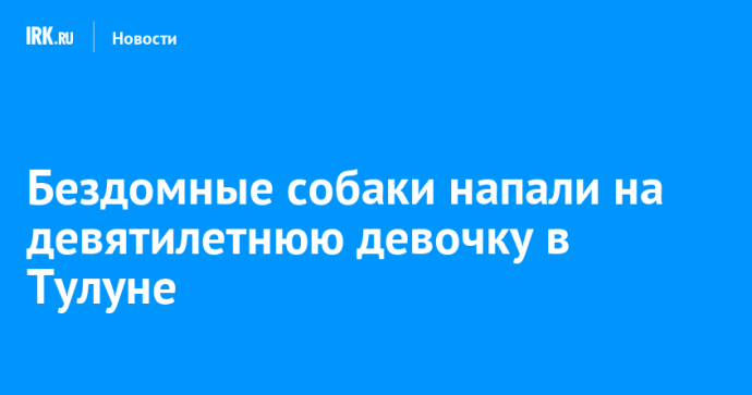 Бездомные собаки напали на девятилетнюю девочку в Тулуне Бездомные собаки напали на девятилетнюю девочку в Тулуне