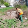 В Курске оштрафовали семь управляющих компаний и ТСЖ за нарушения во дворах