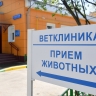 В СФ считают, что снизить цены в ветеринарных клиниках поможет телемедицина
